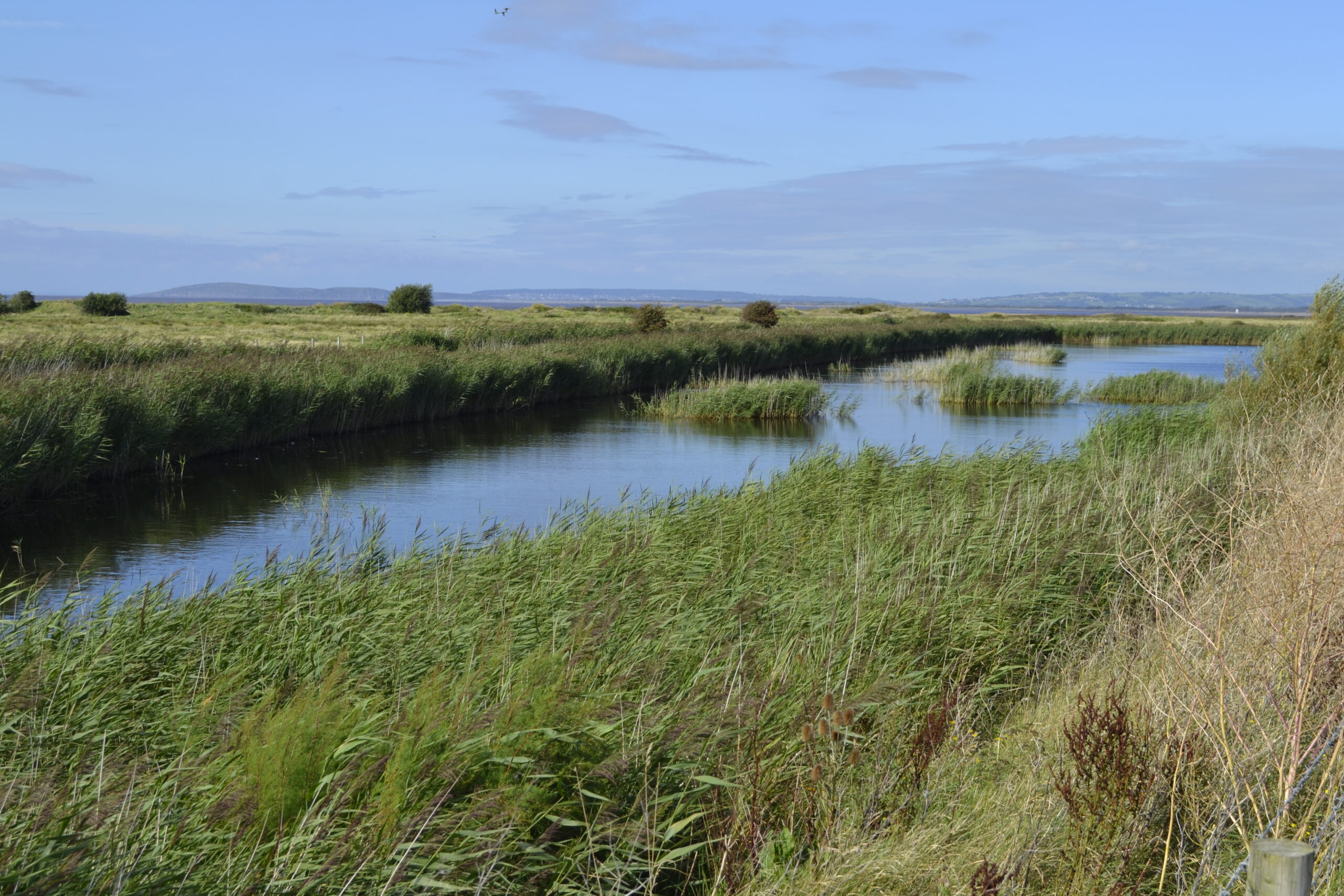 Severn Estuary Partnership